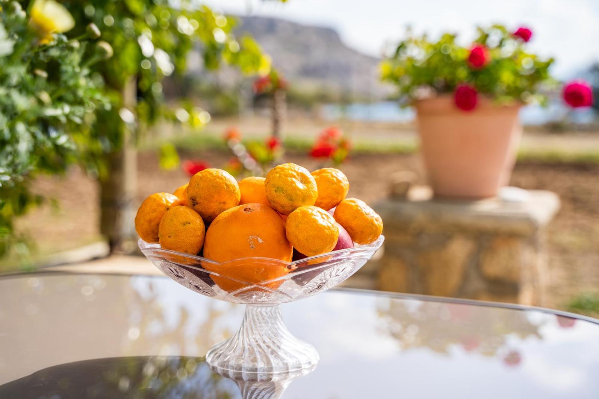 Venetia'S Garden Apartment Lefkos  ภายนอก รูปภาพ