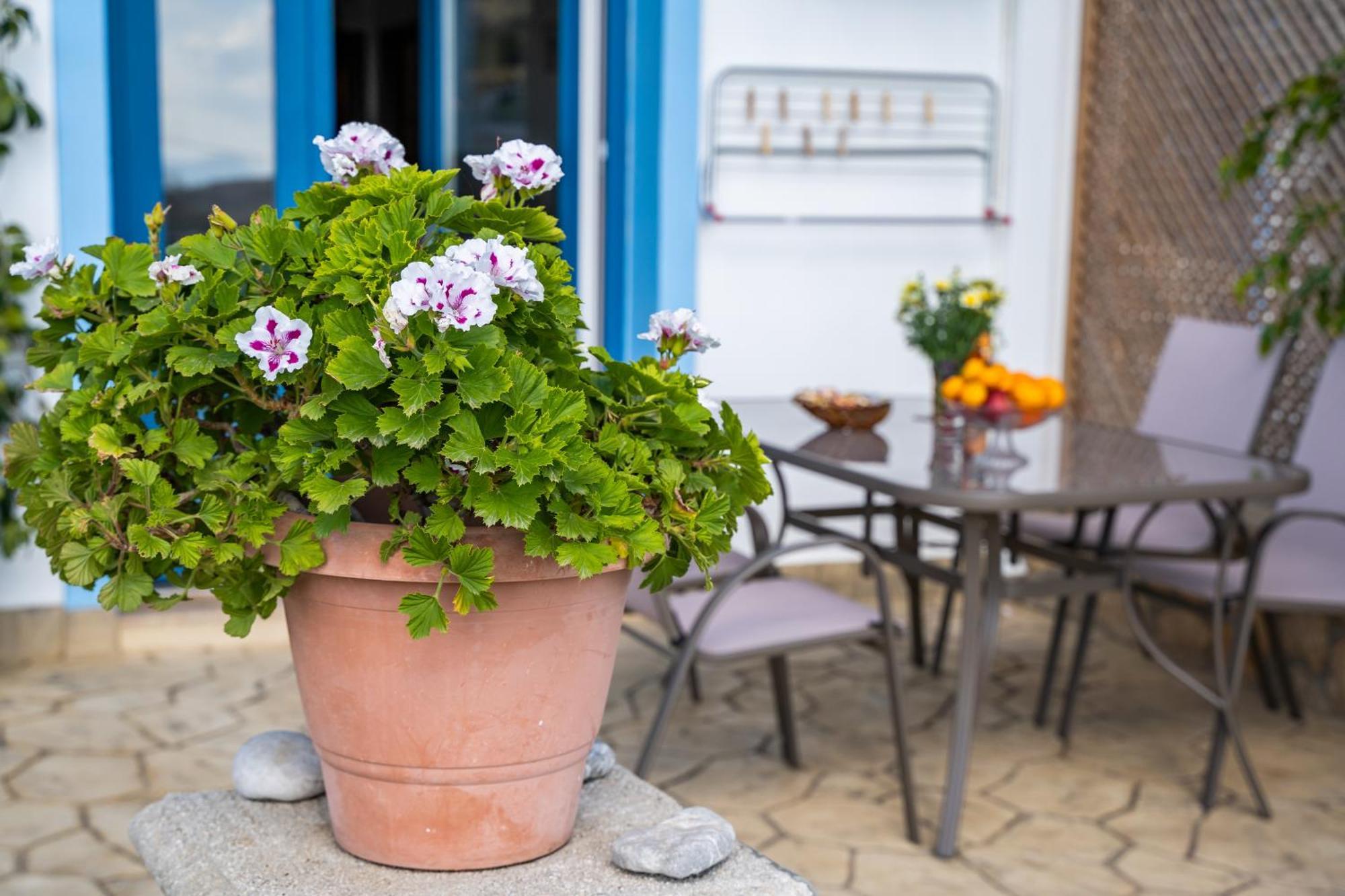 Venetia'S Garden Apartment Lefkos  ภายนอก รูปภาพ