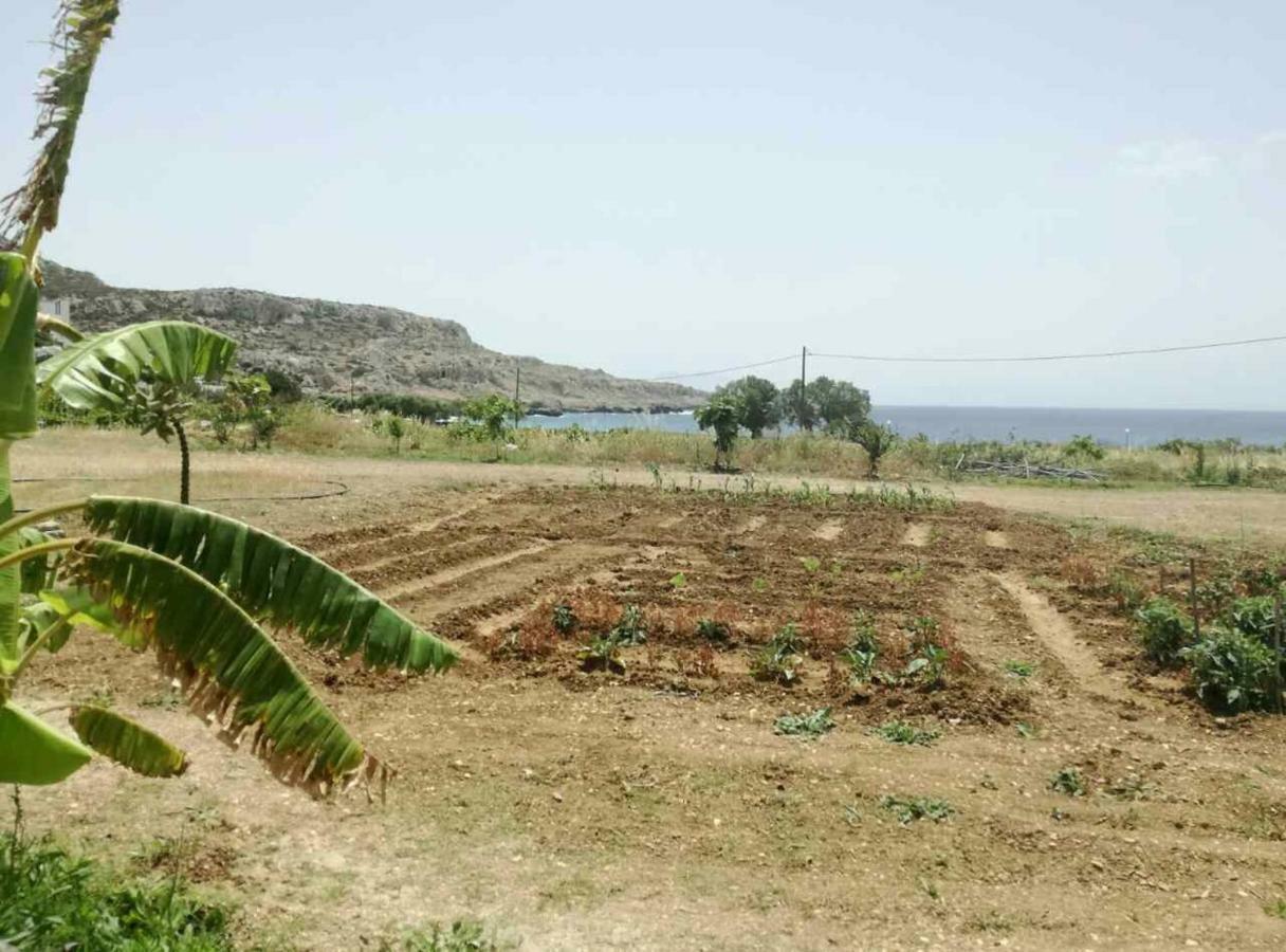 Venetia'S Garden Apartment Lefkos  ภายนอก รูปภาพ